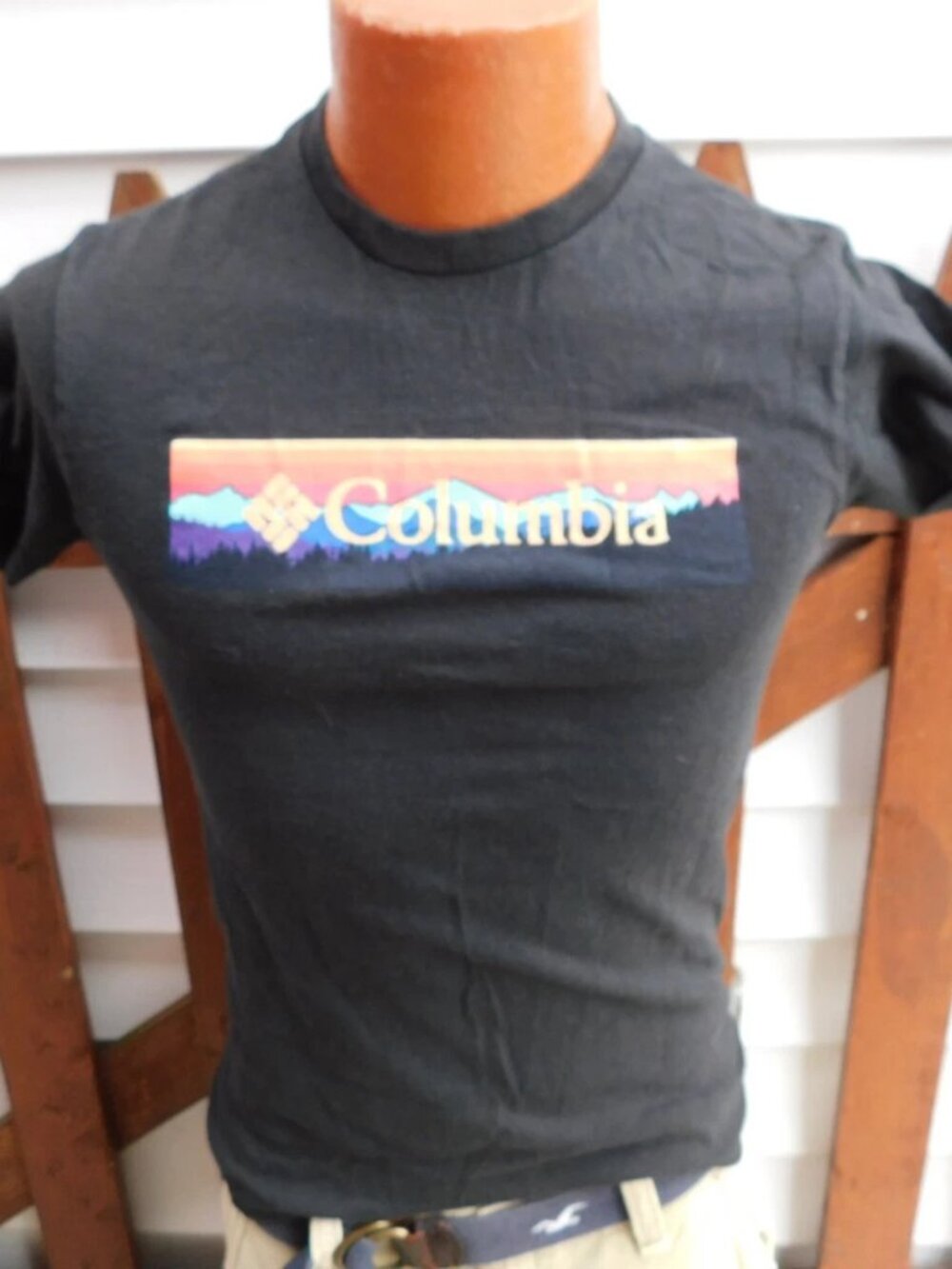 COLUMBIA Mens Mountain Range T Shirt Size SMALL